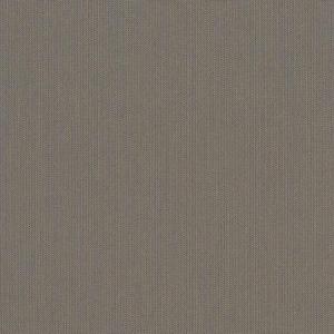 Spectrum Graphite